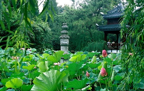 中国风景园林 传承与创新的生态艺术